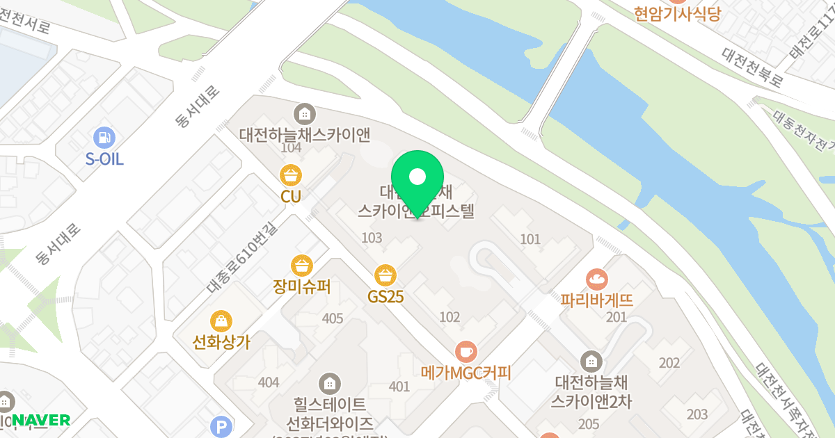 대전 하늘채 스카이앤 위치 지도 - 대전광역시 중구