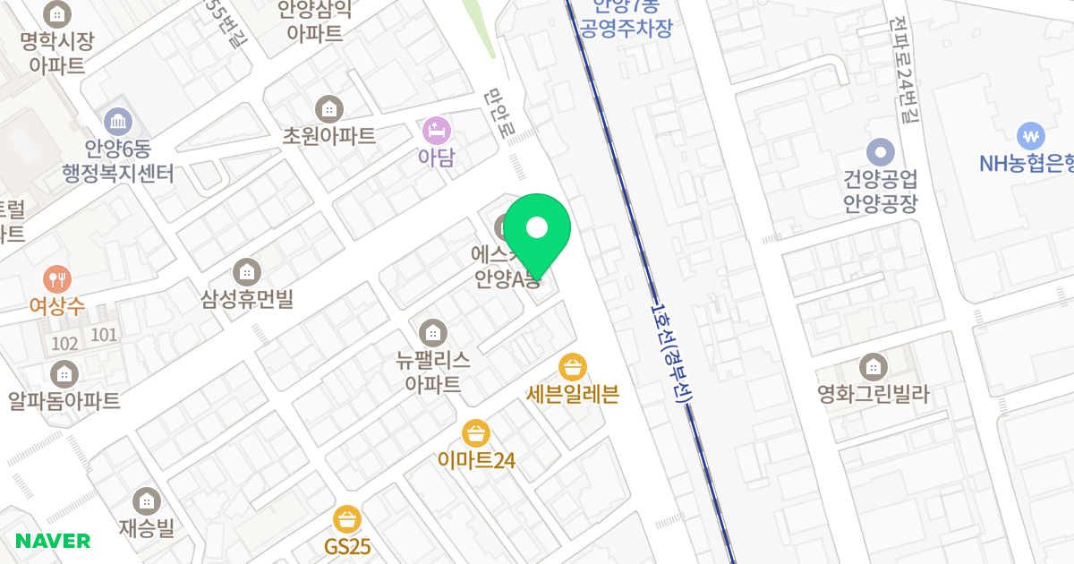 에스키스 안양 B동 위치 지도 - 경기도 안양시 만안구 만안로 69