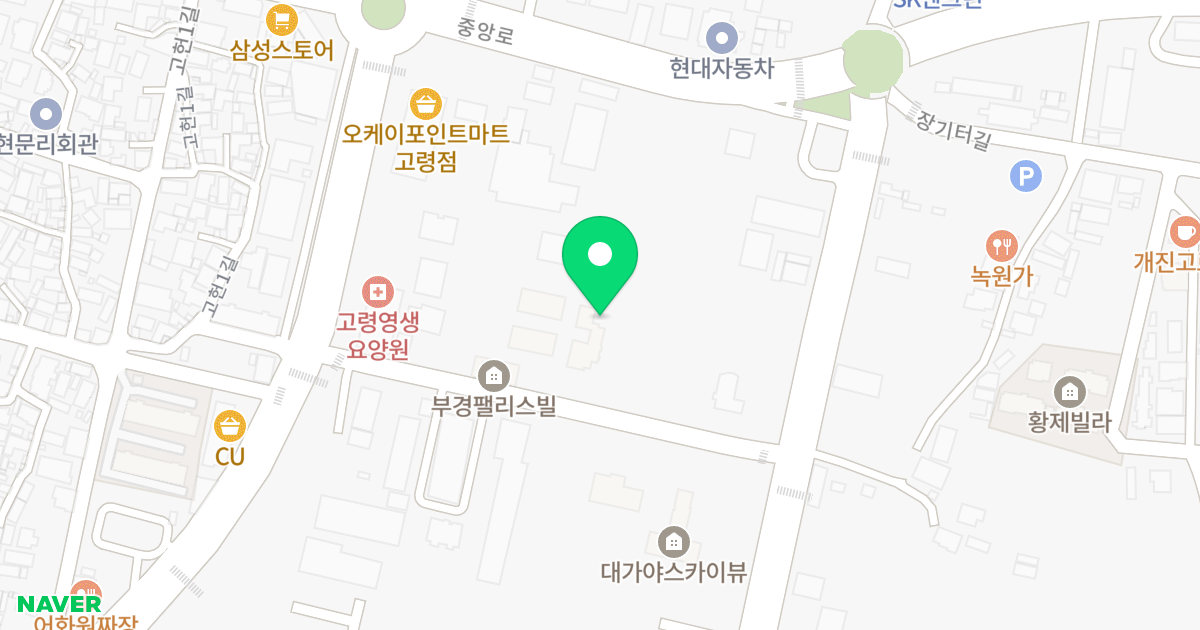 대가야 스카이뷰 201 위치 지도 - 경상북도 고령군 대가야읍