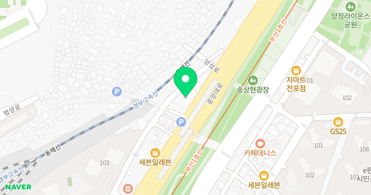 더포레오피스텔 위치 지도 - 부산광역시 부산진구 중앙대로 841