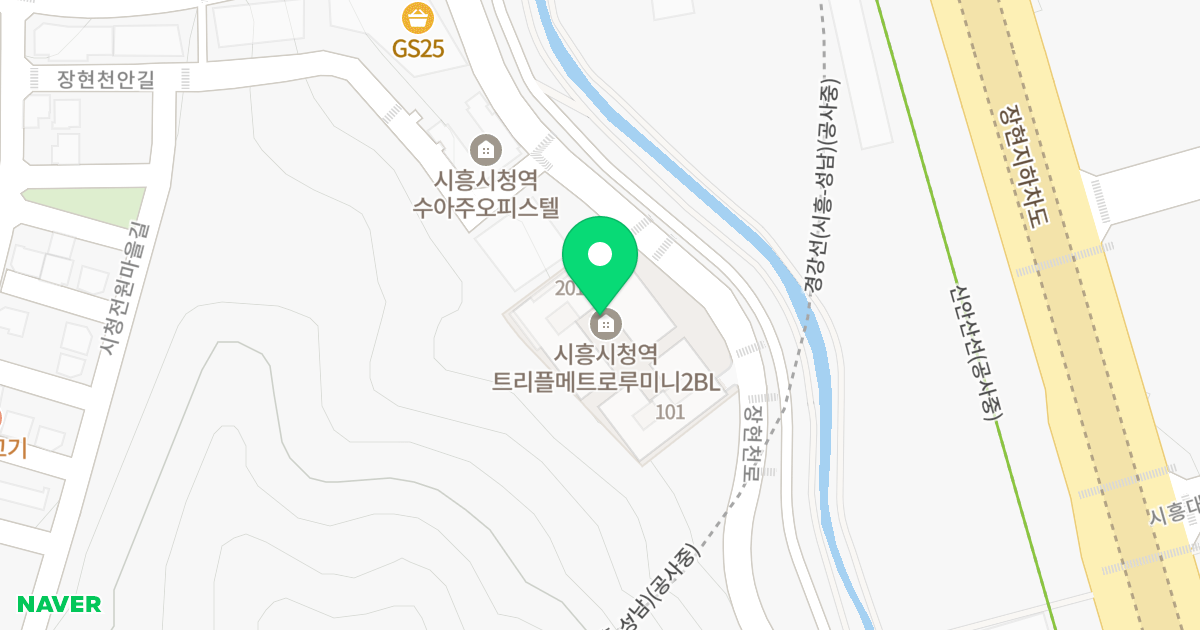 트리플 메트로 루미니 바이 롯데캐슬 위치 지도 - 경기도 시흥시 장현천로 20