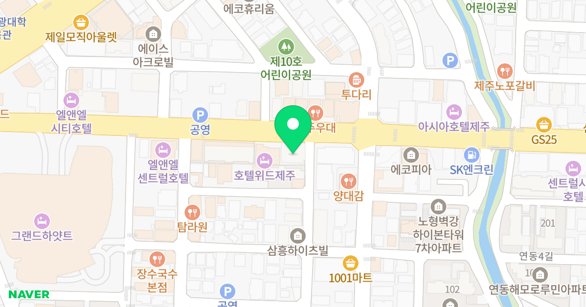 재영윈저캐슬 위치 지도 - 제주특별자치도 제주시 노연로 38