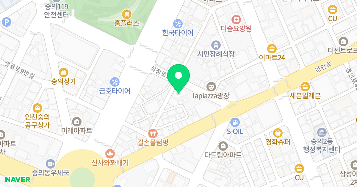 삼성캐슬 위치 지도 - 인천광역시 미추홀구 석정로50번길 12