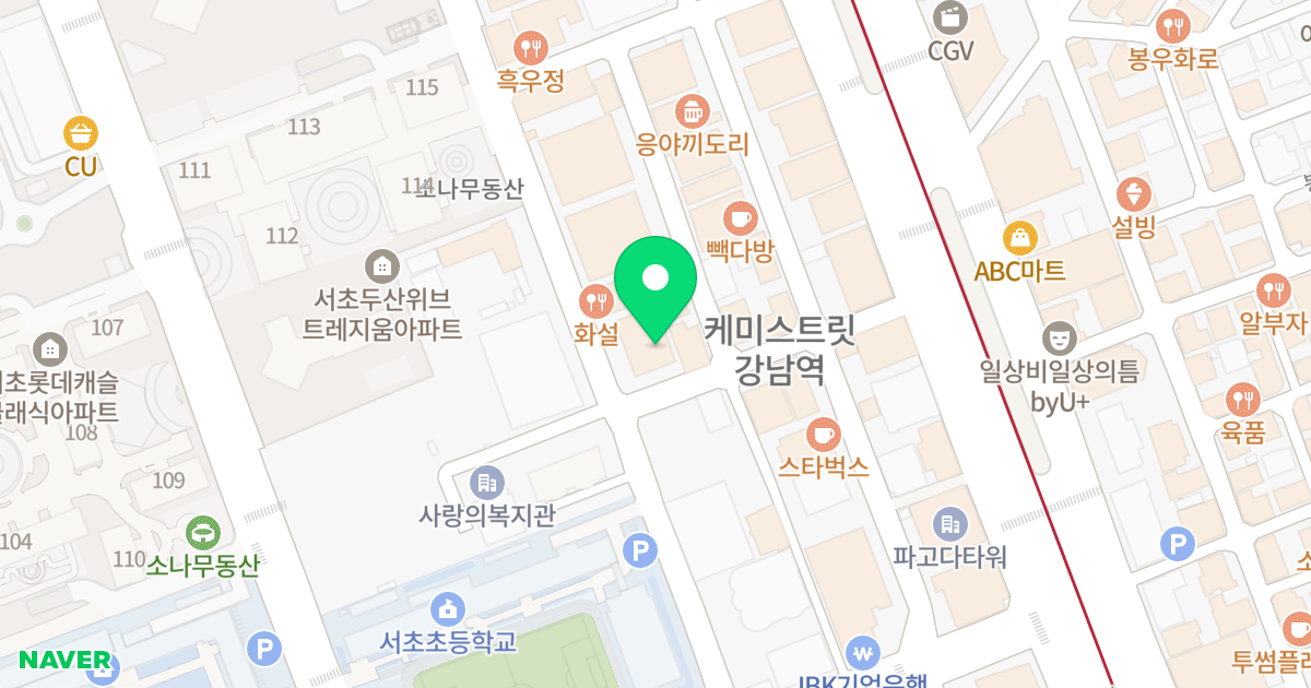 한서그린빌리지오피스텔 위치 지도 - 서울특별시 서초구 강남대로65길 12