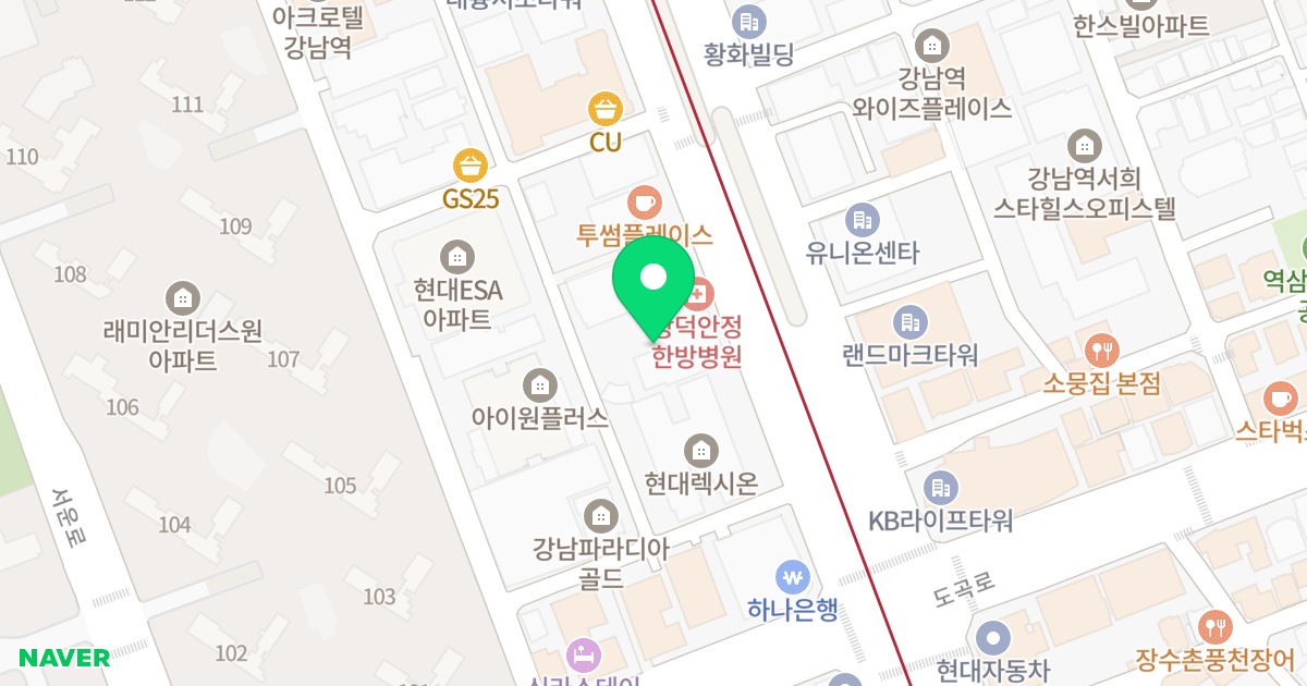 코리아비지니스센타 위치 지도 - 서울특별시 서초구 강남대로 309