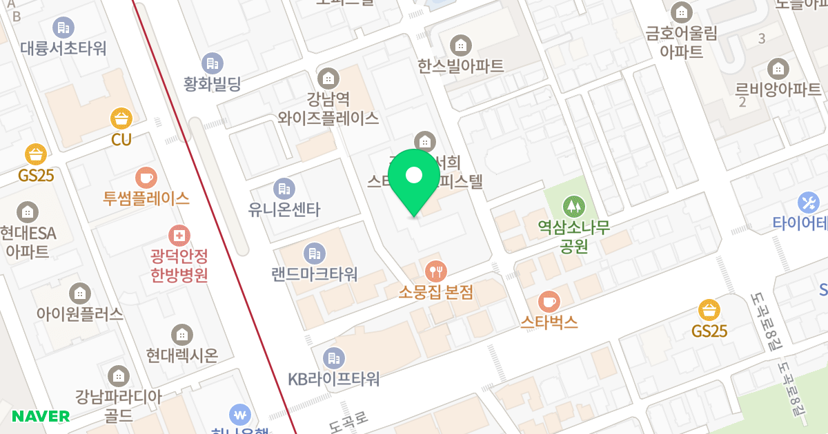 삼일프라자오피스텔 위치 지도 - 서울특별시 강남구 도곡로1길 14