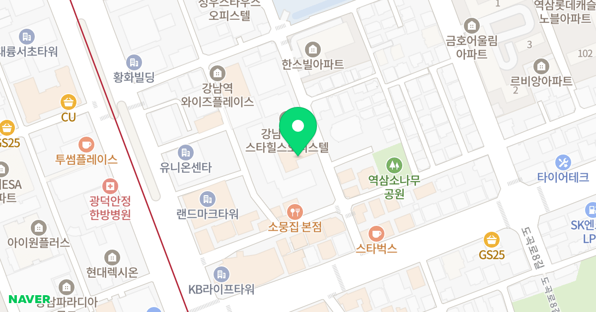 르-메이에르 타운 위치 지도 - 서울특별시 강남구 도곡로3길 13