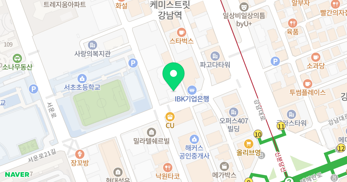 (1307-7) 위치 지도 - 서울특별시 서초구 강남대로61길 10