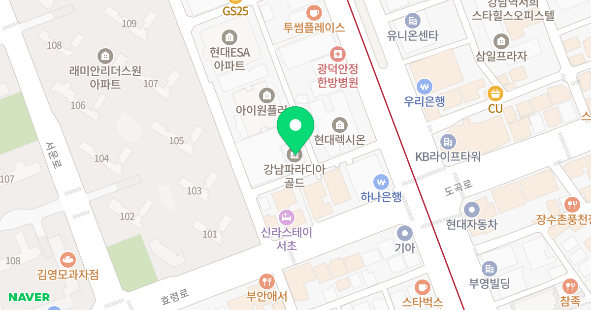 강남역파라디아골드 위치 지도 - 서울특별시 서초구 효령로79길 1
