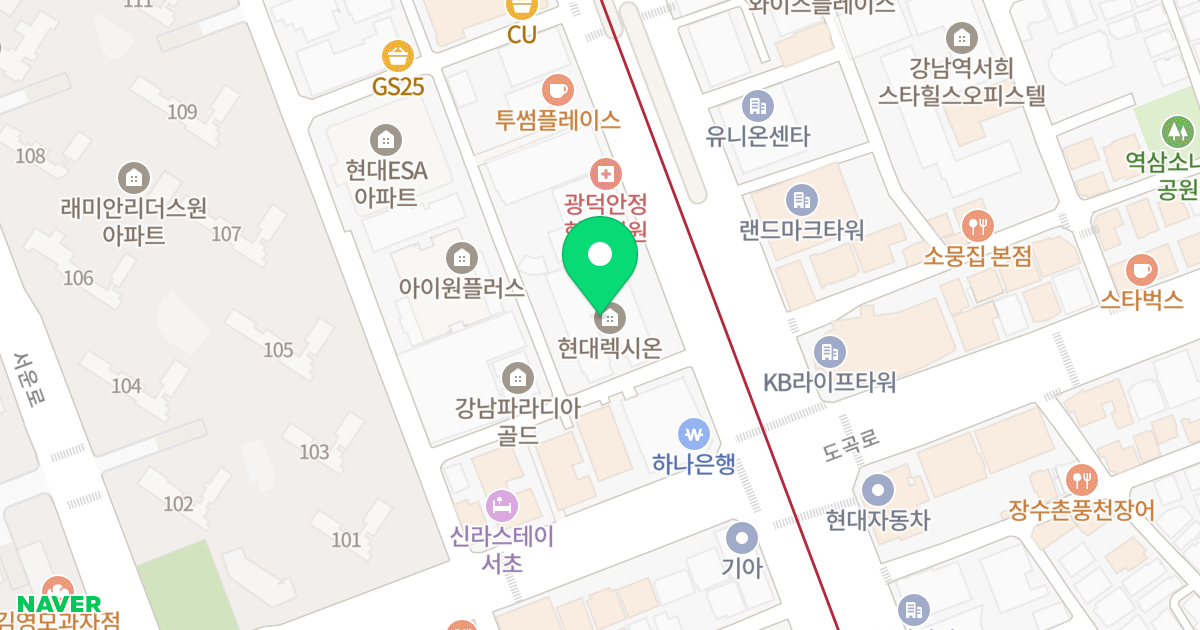 서초현대렉시온 위치 지도 - 서울특별시 서초구 강남대로 305
