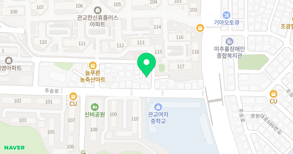 드림캐스빌 위치 지도 - 인천광역시 미추홀구  163-7