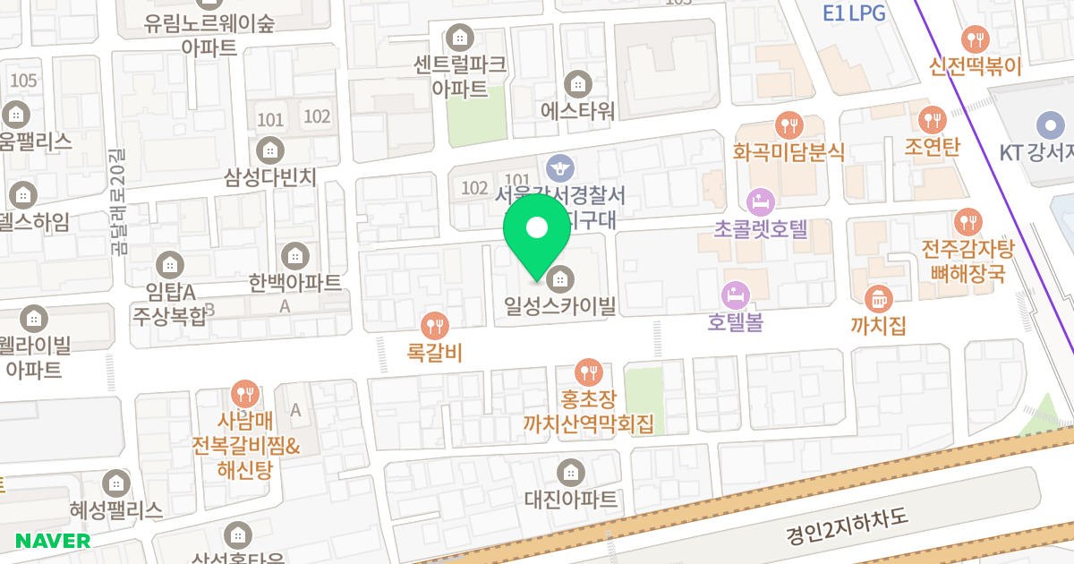 일성스카이빌 위치 지도 - 서울특별시 강서구 강서로5나길 50