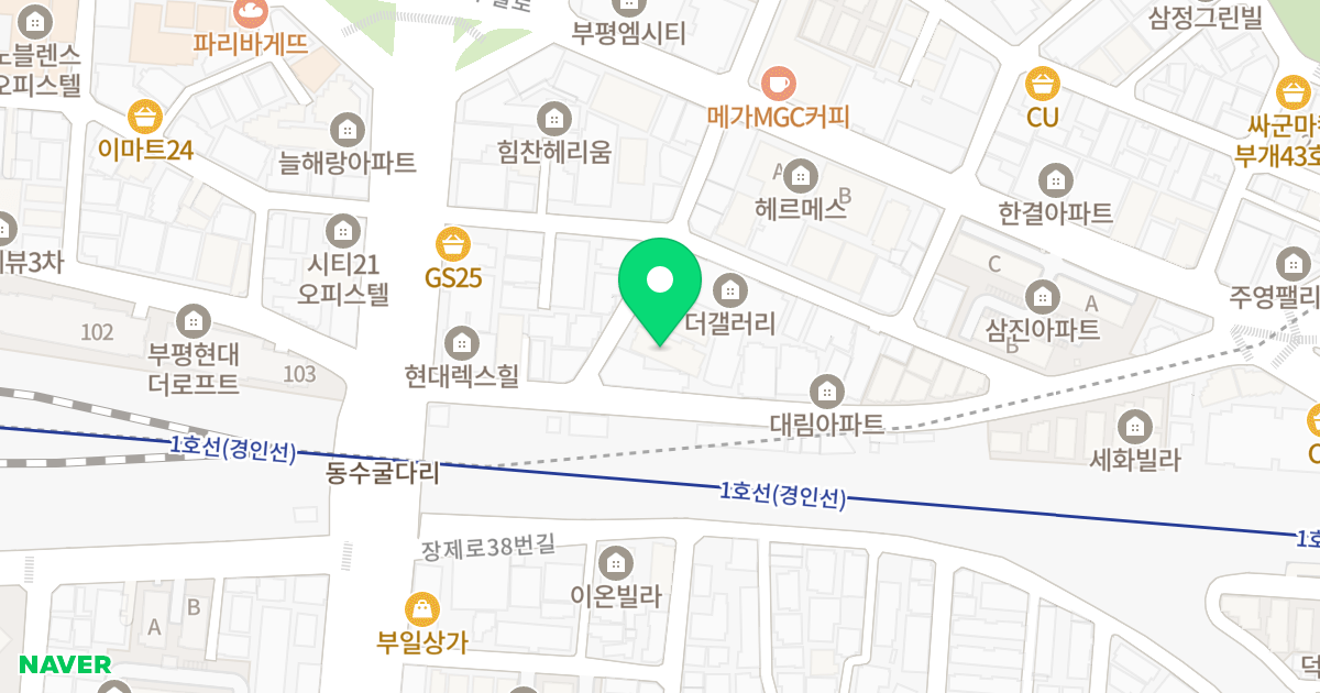 리코팰리스 2차 위치 지도 - 인천광역시 부평구 동수천로7번길 6