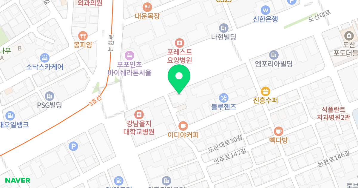 루시아 도산 208 위치 지도 - 서울특별시 강남구 도산대로 208