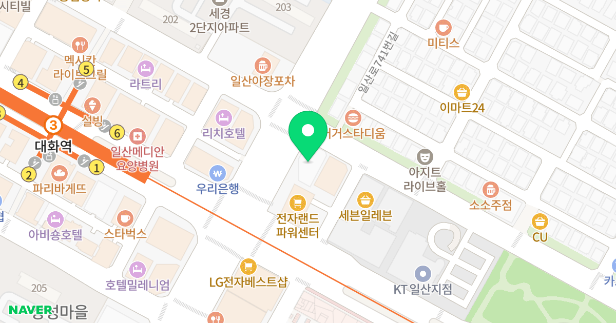 동남아트월드 위치 지도 - 경기도 고양시 일산서구 일산로 757