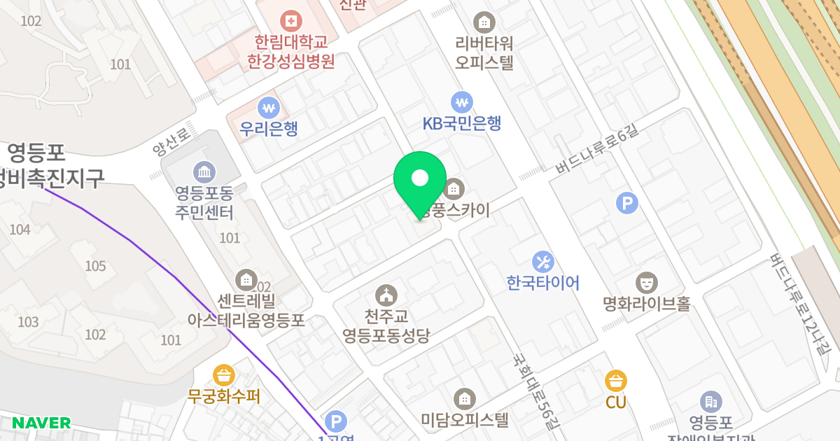 현대팰리스 위치 지도 - 서울특별시 영등포구 버드나루로5길 8