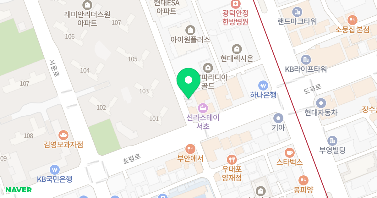 강남헤븐리치 더 골드 181 위치 지도 - 서울특별시 서초구 강남대로49길 11
