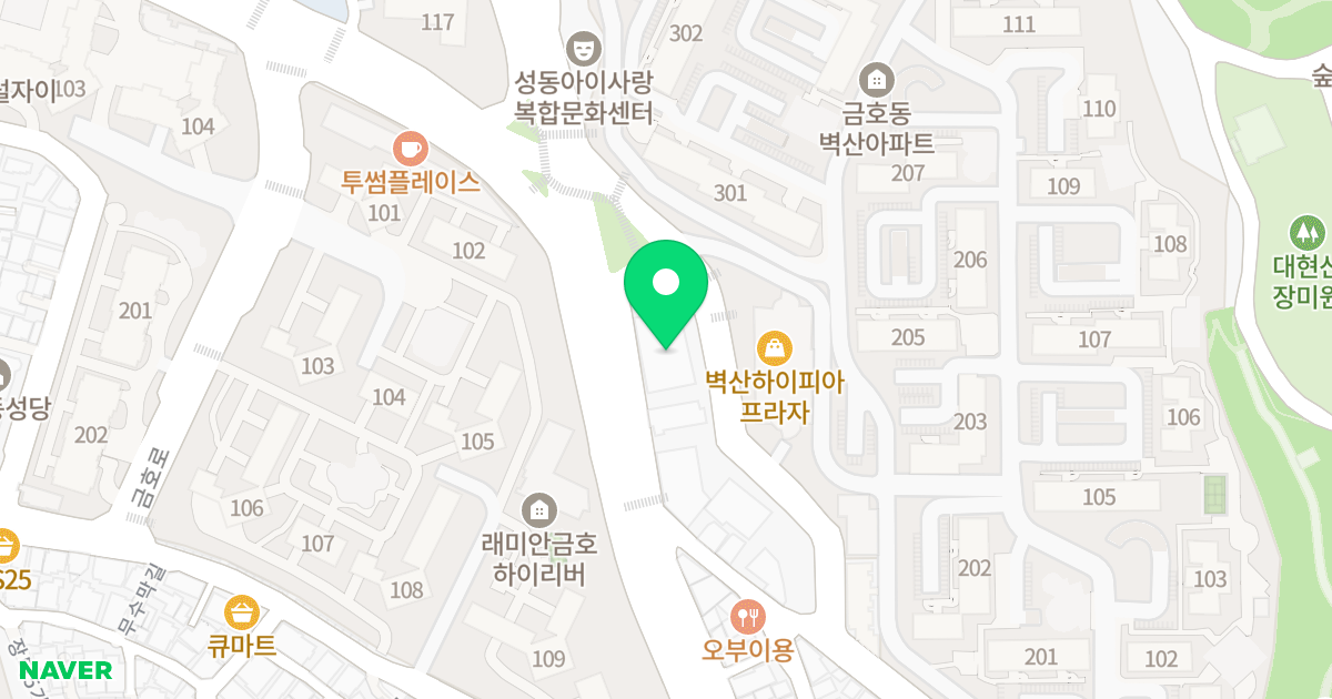 금호힐오피스텔 위치 지도 - 서울특별시 성동구 금호로 94