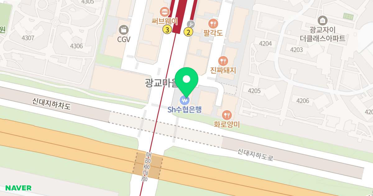 엘리치안 위치 지도 - 경기도 용인시 수지구 광교중앙로 294
