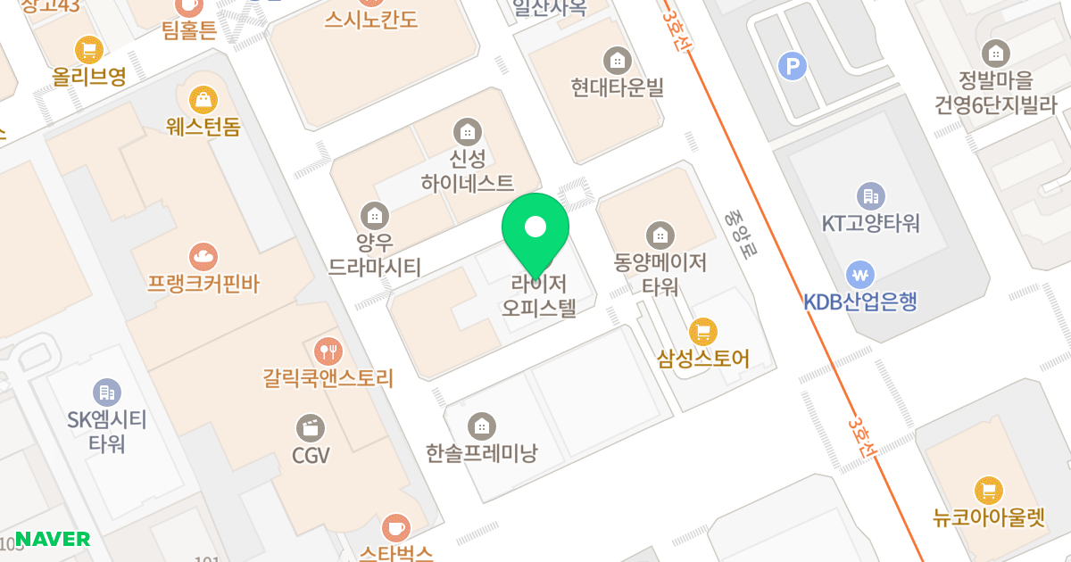 라이저 오피스텔 위치 지도 - 경기도 고양시 일산동구 정발산로42번길 38