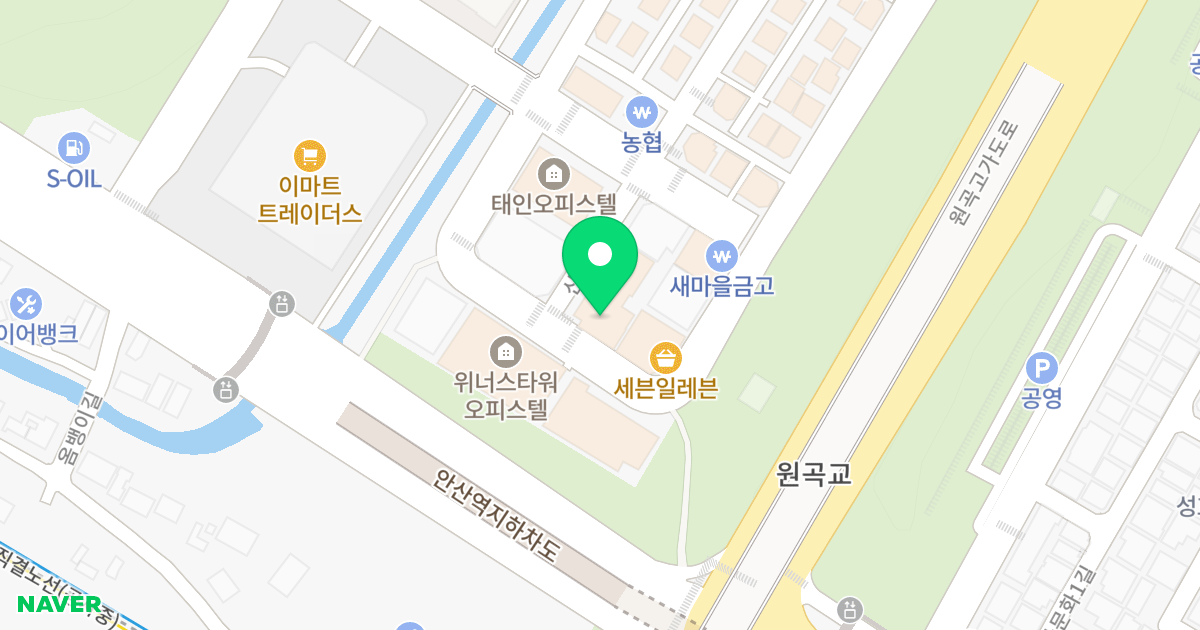 삼익 리베리움 위치 지도 - 경기도 안산시 단원구 신길로1길 94
