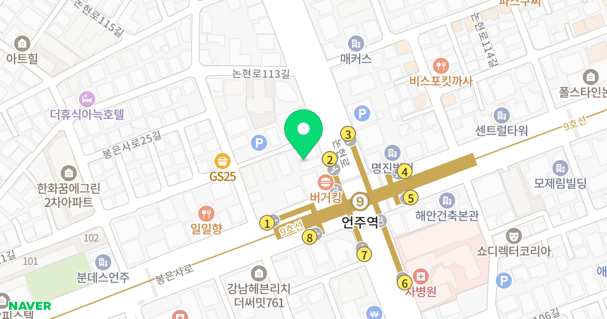 휴먼스페이스주상복합아파트 위치 지도 - 서울특별시 강남구 논현로111길 3
