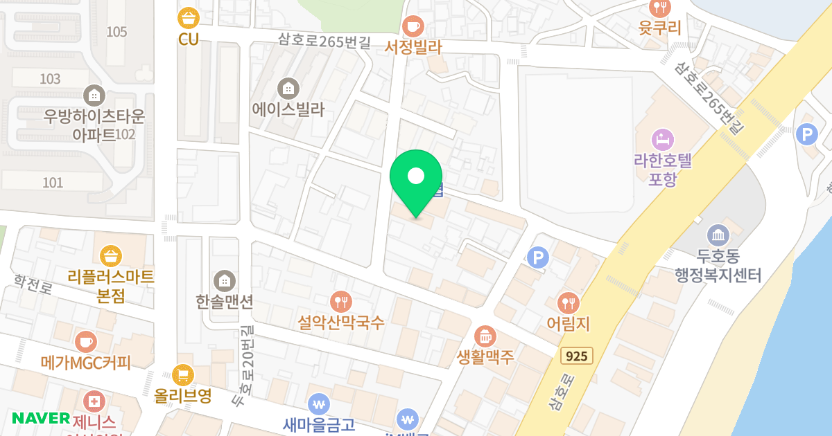 필 오피스텔 위치 지도 - 경상북도 포항시 북구 삼호로253번길 17-5