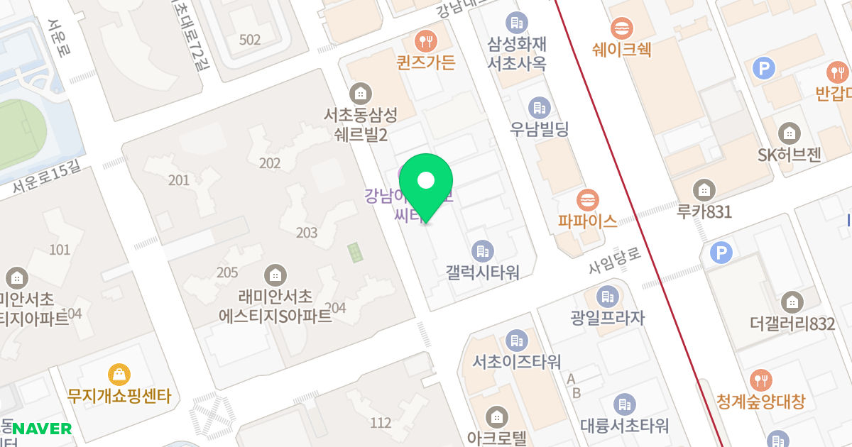 강남역 롯데골드로즈 위치 지도 - 서울특별시 서초구 서초대로74길 51