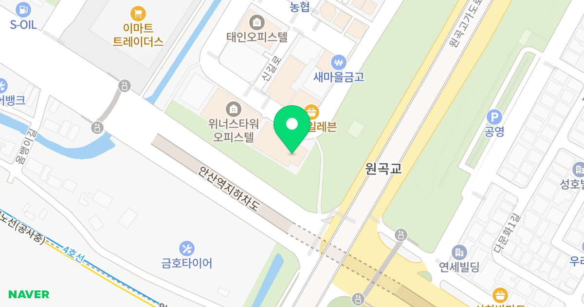 모리아 오피스텔 위치 지도 - 경기도 안산시 단원구 중앙대로 421