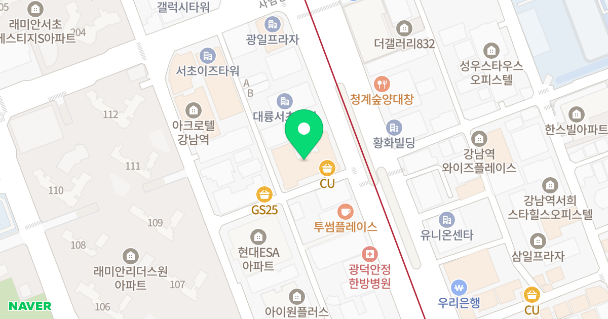 서초동 대우디오빌프라임 위치 지도 - 서울특별시 서초구 강남대로 321
