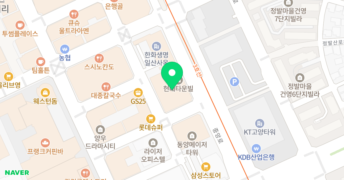 현대타운빌 위치 지도 - 경기도 고양시 일산동구 중앙로 1233