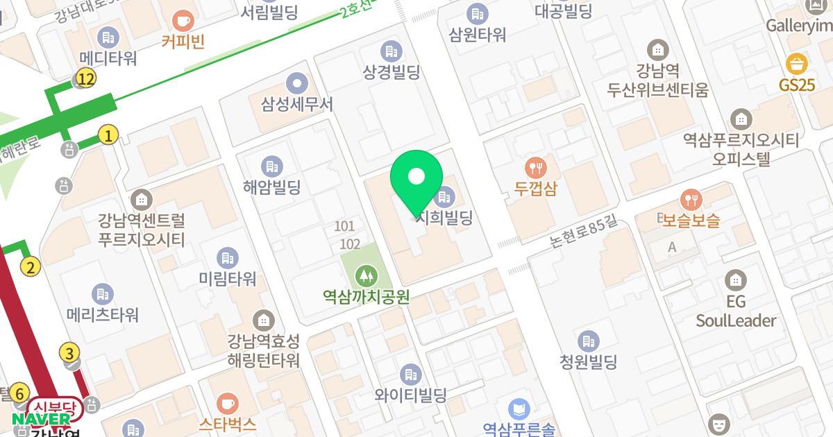대우디오빌플러스 위치 지도 - 서울특별시 강남구 강남대로84길 33