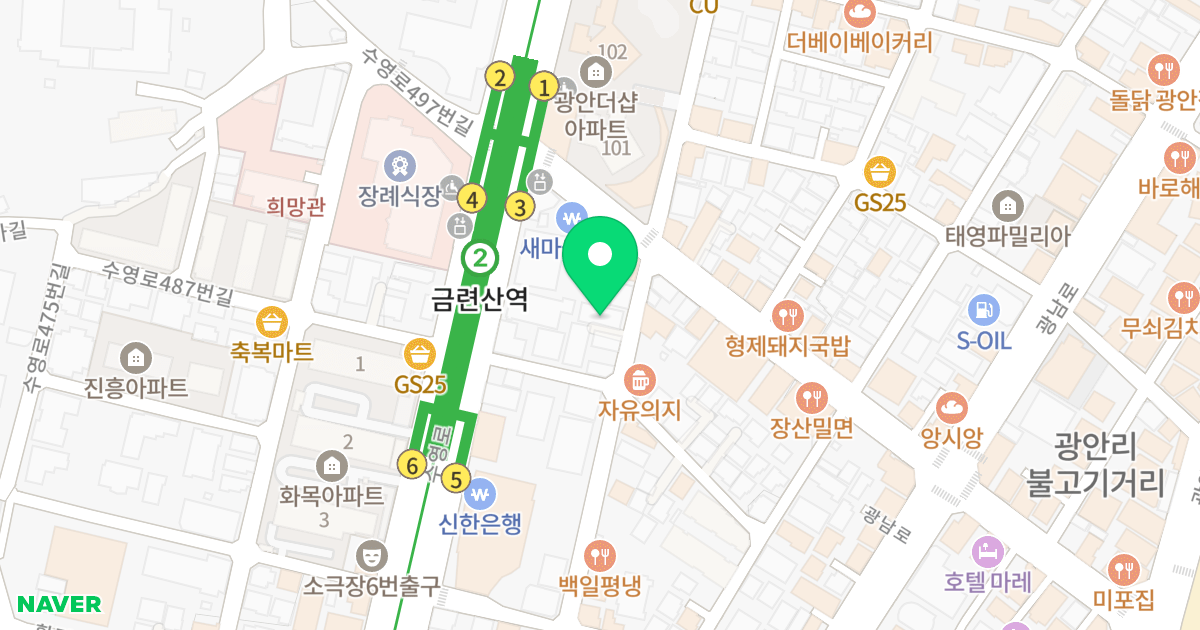 이린하우스 위치 지도 - 부산광역시 수영구 남천바다로10번길 8