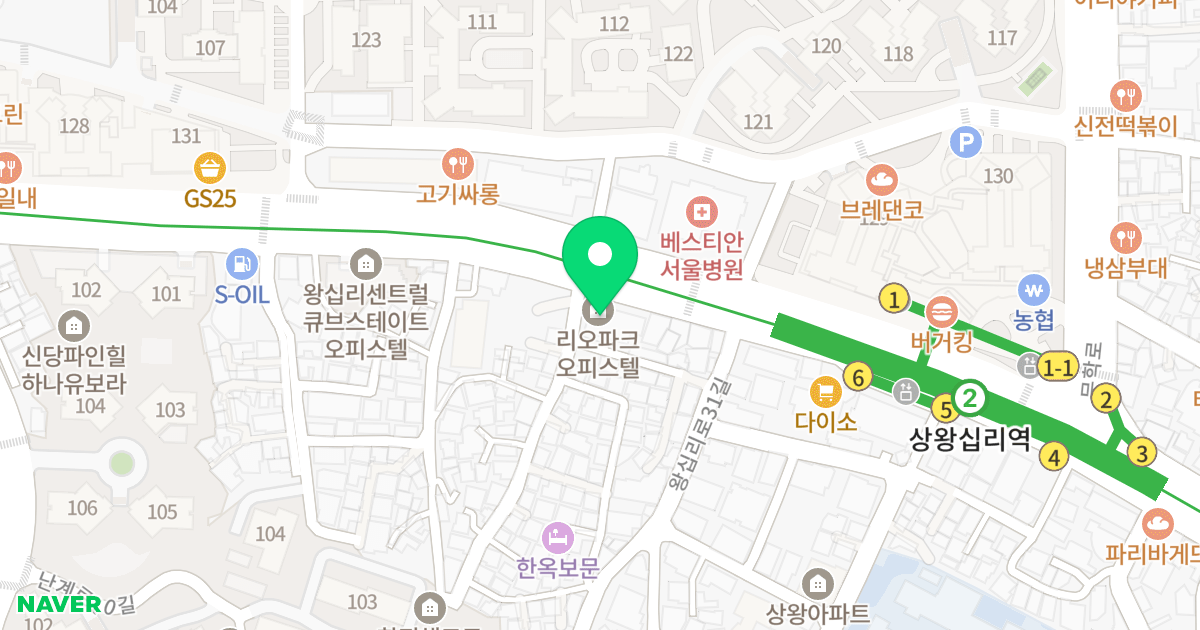 리오파크 오피스텔 위치 지도 - 서울특별시 서울특별시 성동구 하왕십리동 898-2