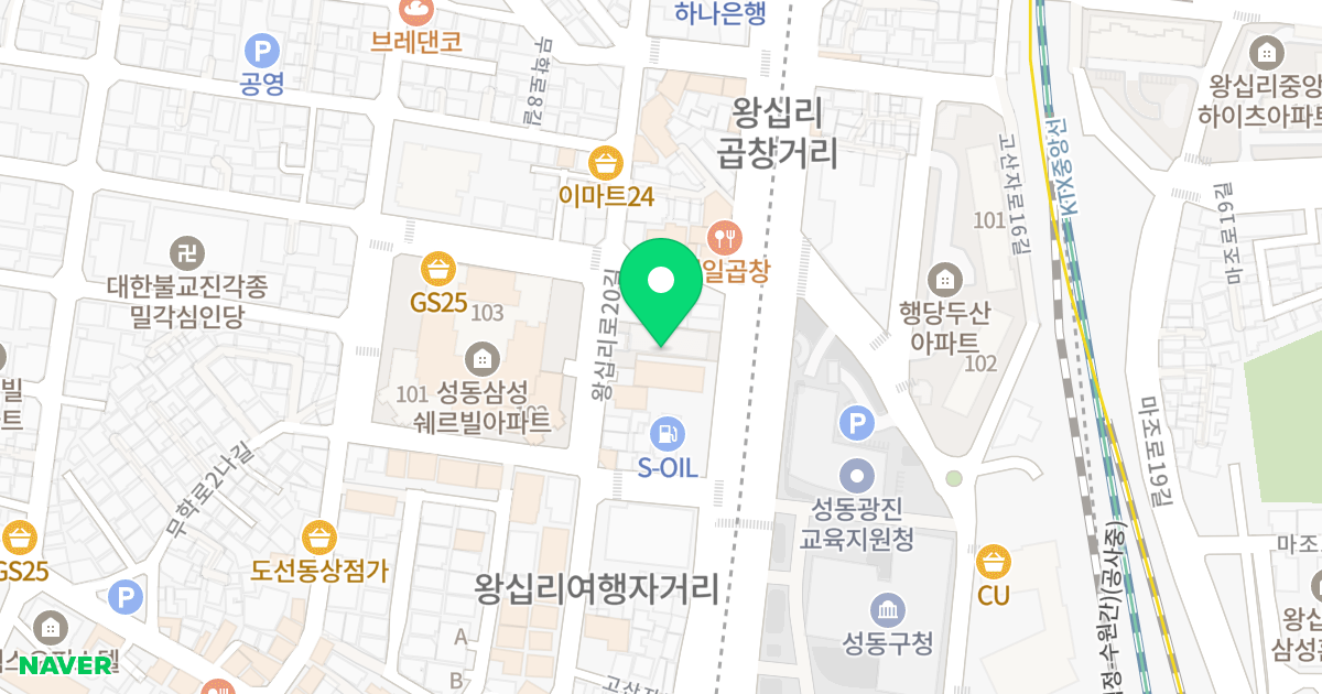 왕십리역 요진 와이하우스 위치 지도 - 서울특별시 서울특별시 성동구 도선동 2