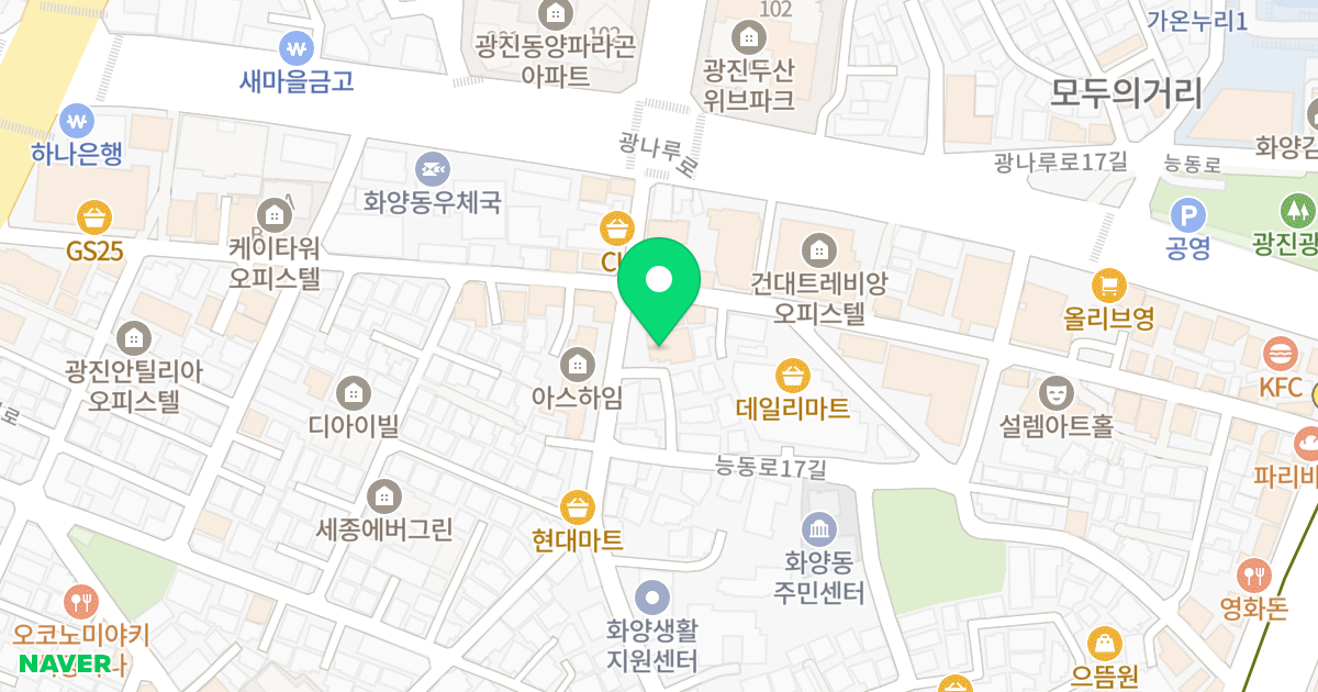 엘리시안파크 위치 지도 - 서울특별시 서울특별시 광진구 화양동 132-75