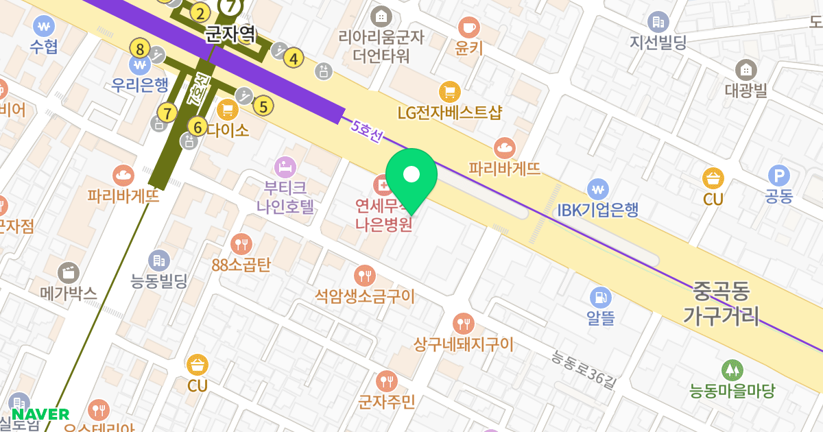군자 아델리제 위치 지도 - 서울특별시 서울특별시 광진구 능동 222-2