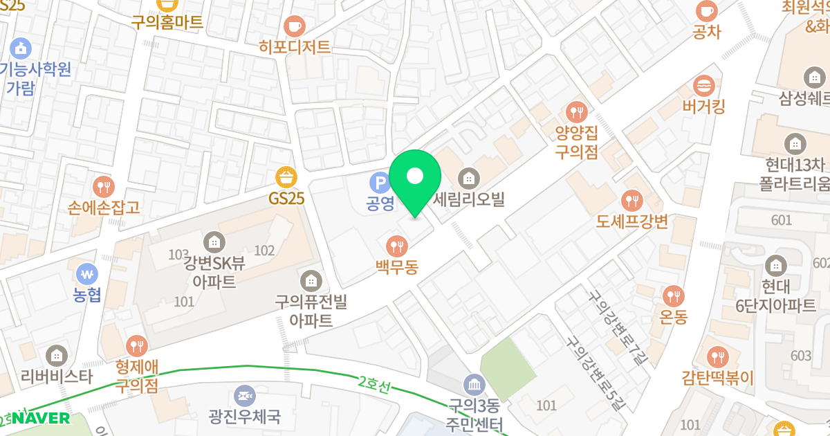 (219-17) 위치 지도 - 서울특별시 서울특별시 광진구 구의동 219-17