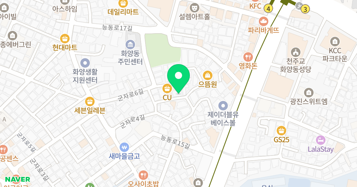 선인팰리스 위치 지도 - 서울특별시 서울특별시 광진구 화양동 75-6