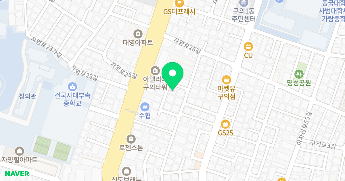 더집 위치 지도 - 서울특별시 서울특별시 광진구 구의동 251-169
