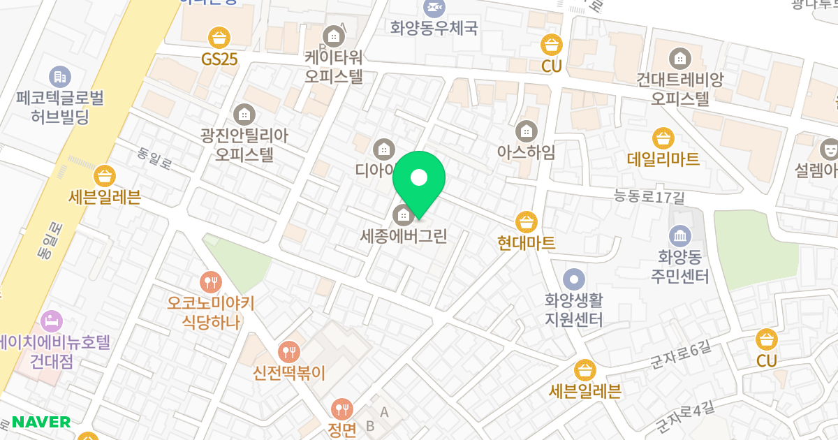 세종에버그린 위치 지도 - 서울특별시 서울특별시 광진구 화양동 17-68
