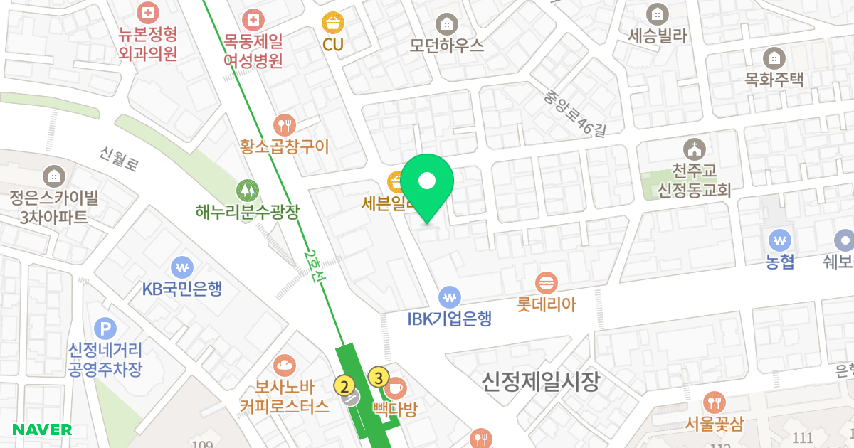 신성 스카이뷰 위치 지도 - 서울특별시 서울특별시 양천구 신정동 973-39