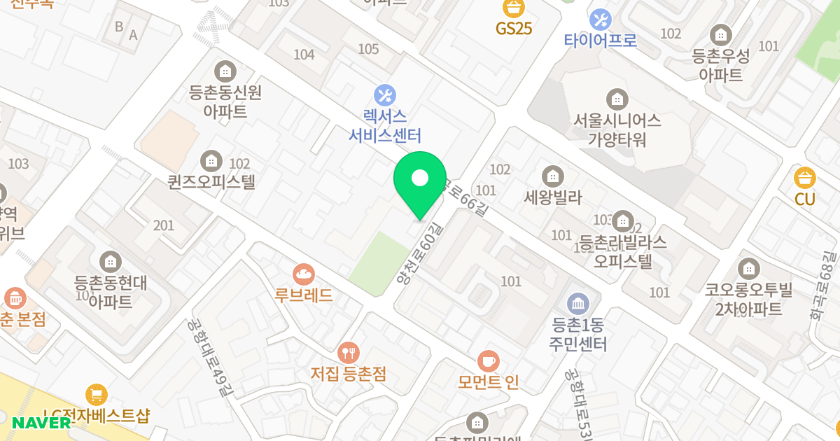 루미에르 위치 지도 - 서울특별시 서울특별시 강서구 등촌동 641-12