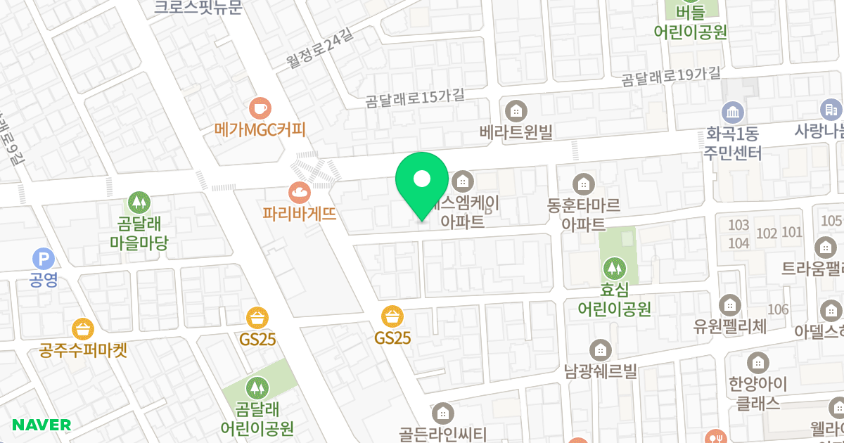 리치A110 위치 지도 - 서울특별시 서울특별시 강서구 화곡동 938-11