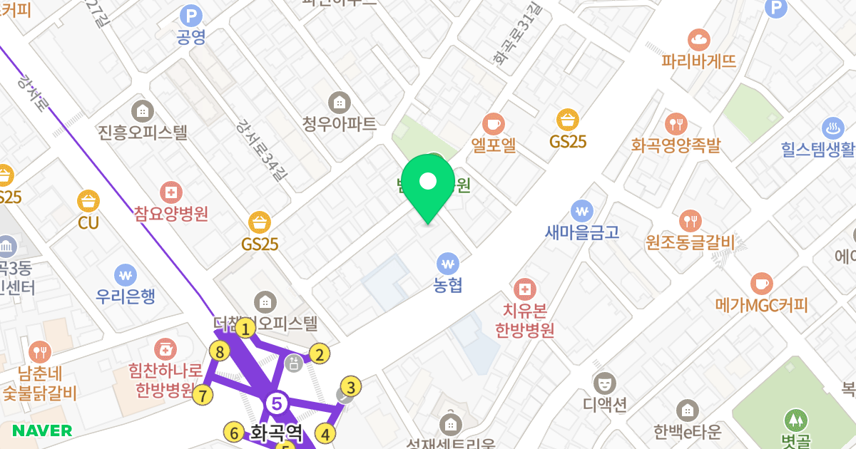 (1063-17) 위치 지도 - 서울특별시 서울특별시 강서구 화곡동 1063-17