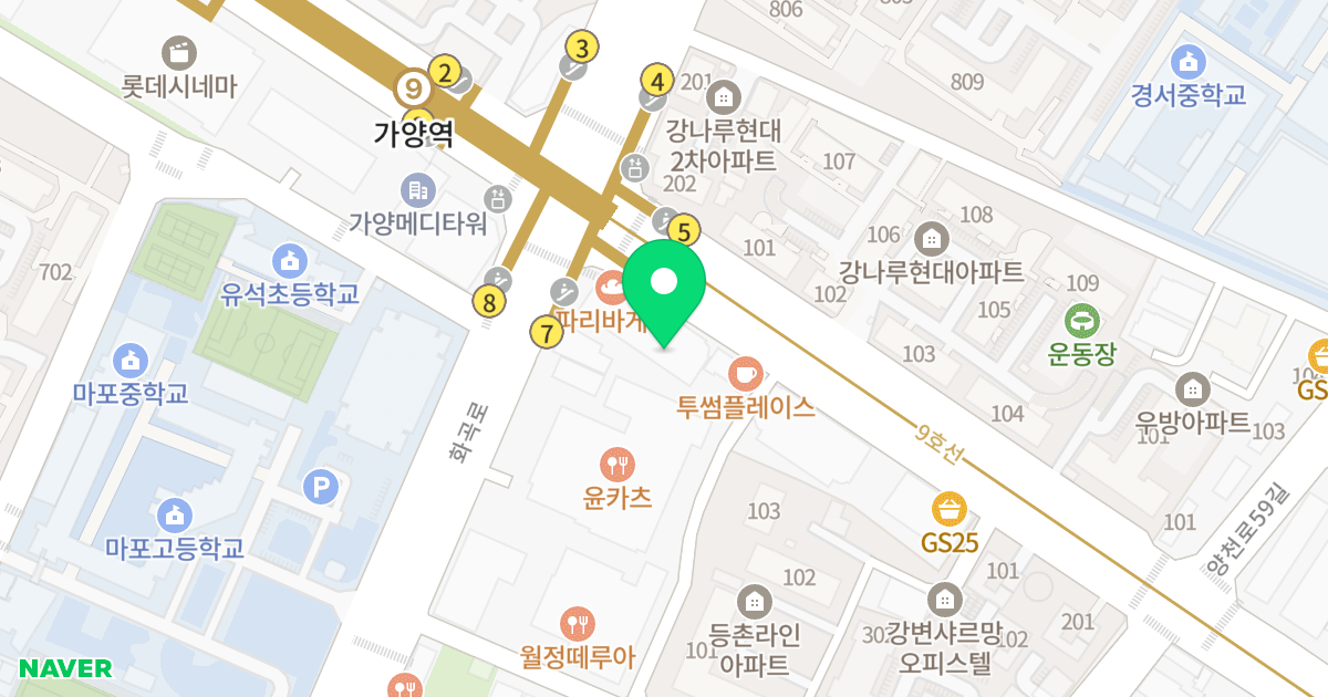 등촌동노블리움오피스텔 위치 지도 - 서울특별시 서울특별시 강서구 등촌동 628