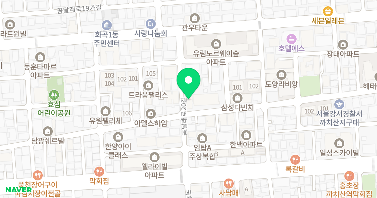 천우네오젠아파트 9차 및 오피스텔 위치 지도 - 서울특별시 서울특별시 강서구 화곡동 916-6