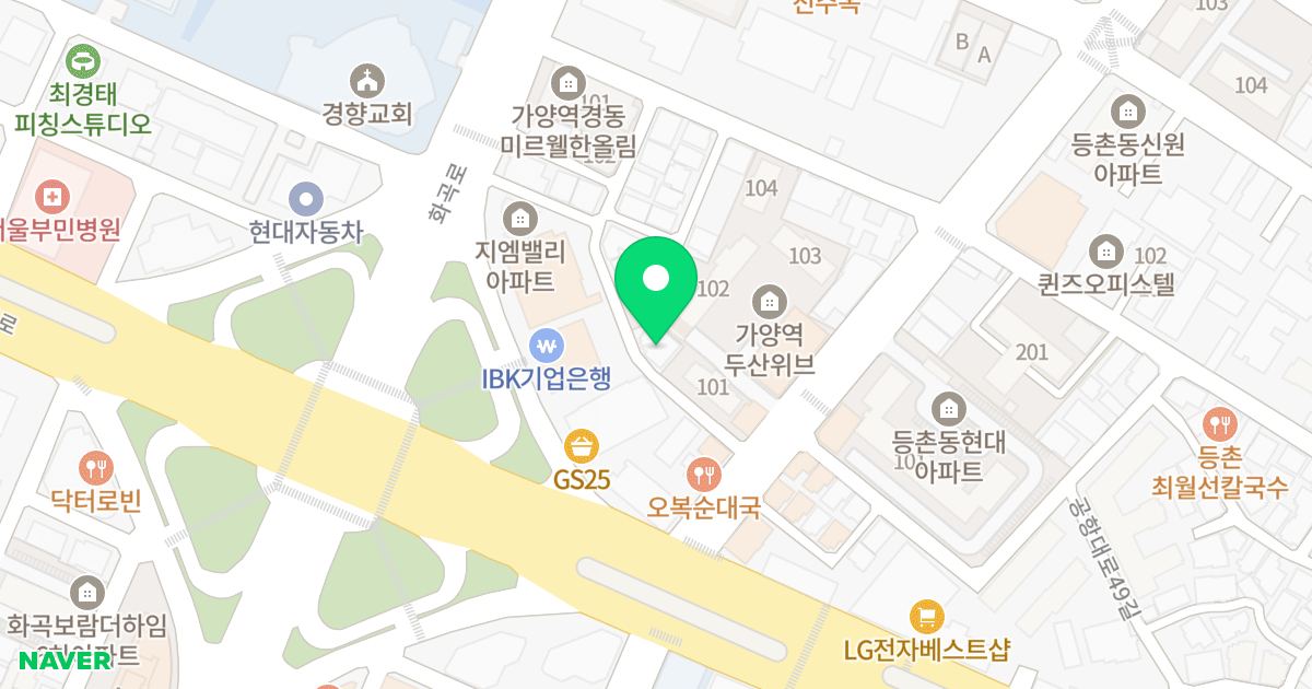 킹덤하이너스 위치 지도 - 서울특별시 강서구 공항대로45가길 14