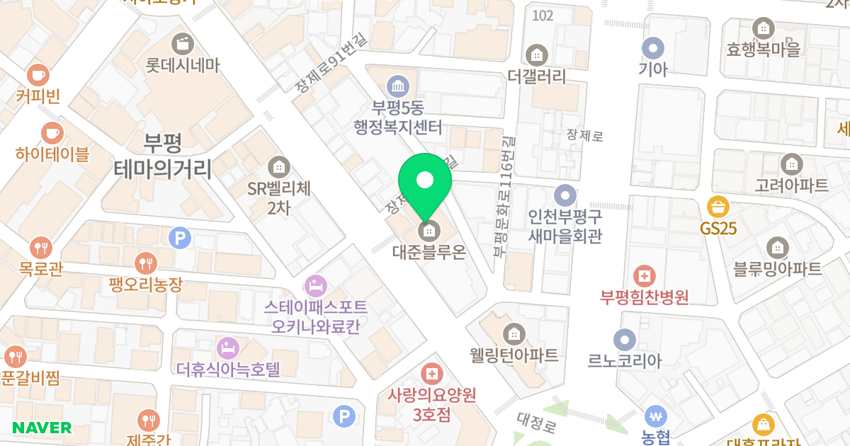 대준블루온 위치 지도 - 인천광역시 부평구 대정로 83