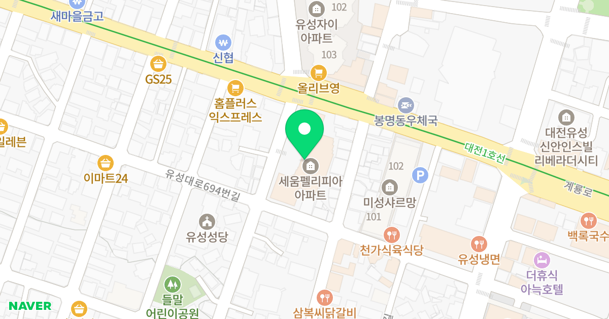 유성세움펠리피아 주상복합아파트 위치 지도 - 대전광역시 유성구 계룡로52번길 11